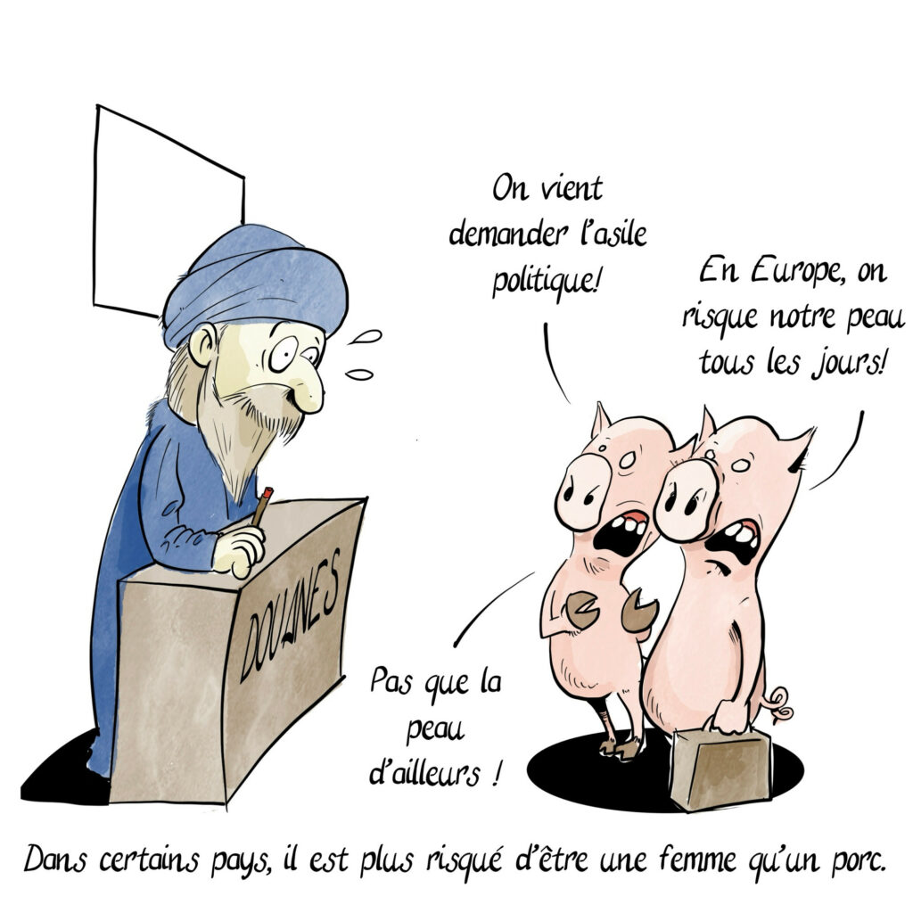 Deux cochons dont l’une porte une valise sont devant un guichet de douane derrière lequel se trouve un mollah.
Le premier : on vient demander l’asile politique !
Le second : en Europe on risque notre peau tous les jours !
Le premier : et pas que notre peau !
Dans certains pays il est plus risqué d’être une femme qu’un porc.